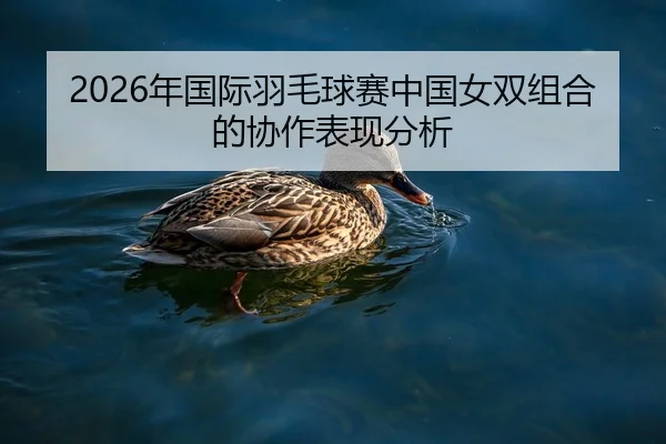 2026年国际羽毛球赛中国女双组合的协作表现分析