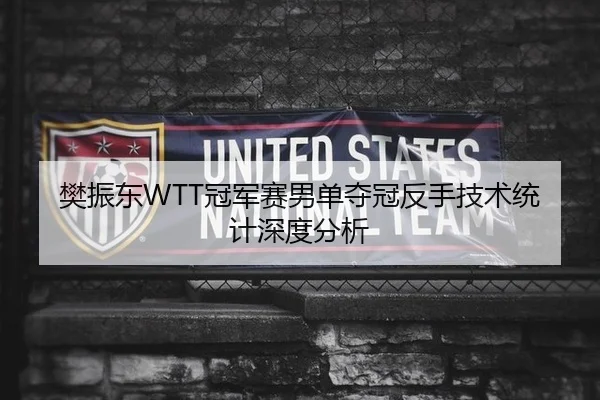 樊振东WTT冠军赛男单夺冠反手技术统计深度分析