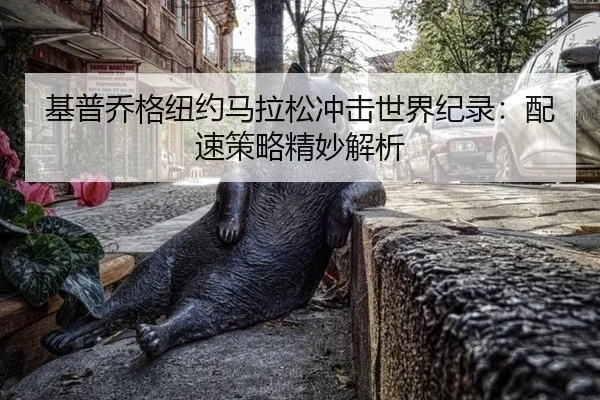 基普乔格纽约马拉松冲击世界纪录：配速策略精妙解析